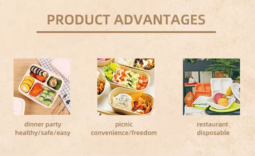 biodegradable food container distributors - Arad Branding